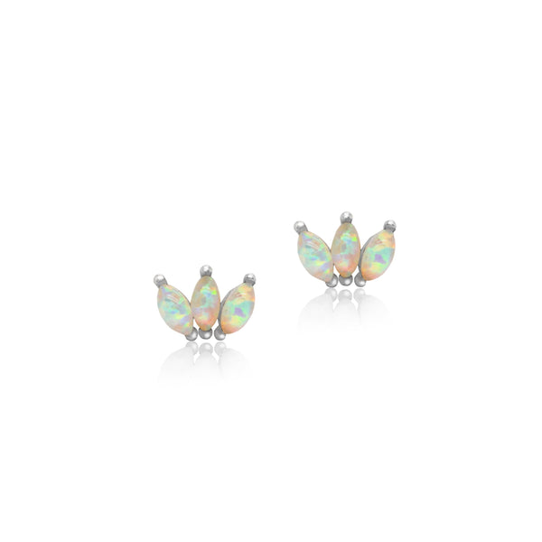 Pair of opal earrings on a white background